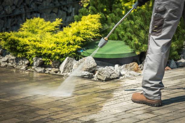 Best Sidewalk and Walkway Cleaning  in Pierce City, MO